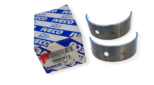 [2996973] CONCHA DE BANCADA STD VERDE IVECO STRALIS / TRAKKER