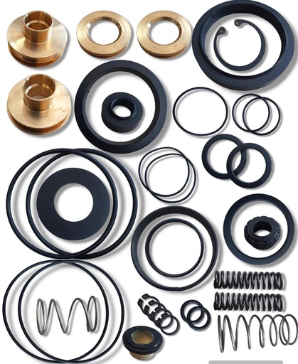 [20.1290.20] KIT FULL DE REPARACION SERVO SHIFT SELECTOR CAJA ZF IVECO STRALIS / TRAKKER