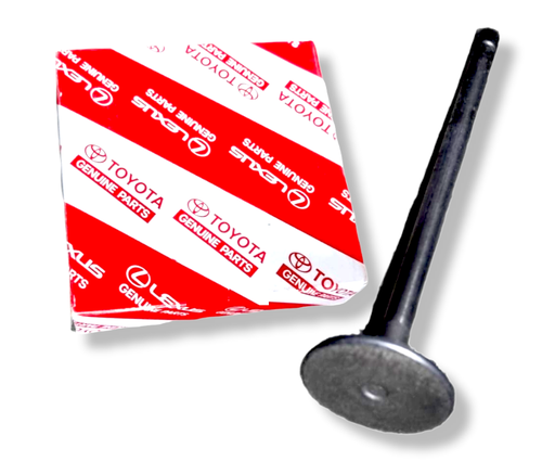 [S1371-11800] VALVULA DE ADMISION TOYOTA DYNA 4.0 / HINO DUTRO SERIE 300